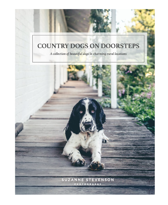 Country Dogs on Door Steps